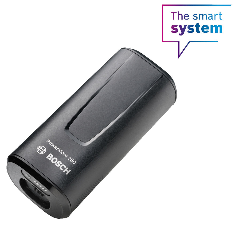 BoschPowerMore 250 kit - biket.co.za