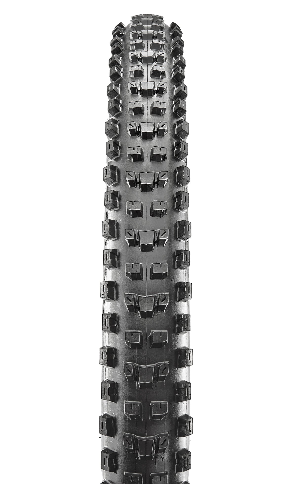 Maxxis Dissector | 29 inch x 2.40 WT - biket.co.za
